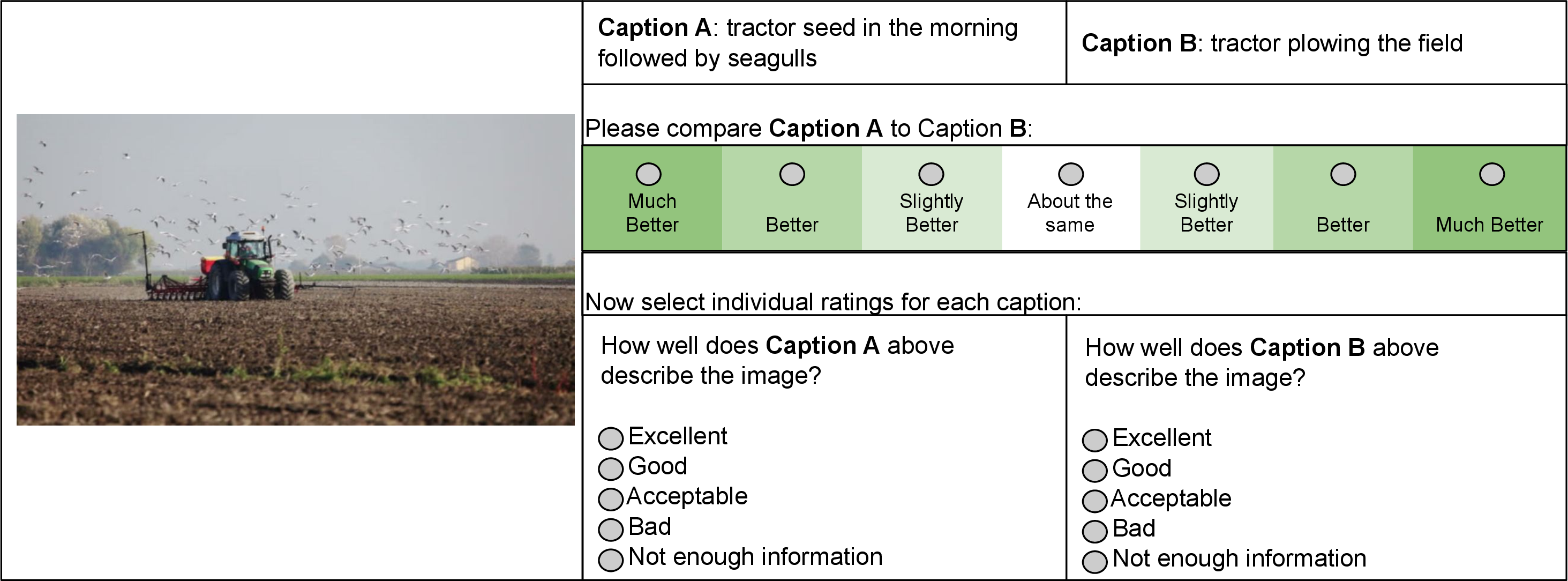 Figure 4: Side-by-side human evaluation of two image captions. The same template is used for evaluating English as well as the 5 languages targeted.