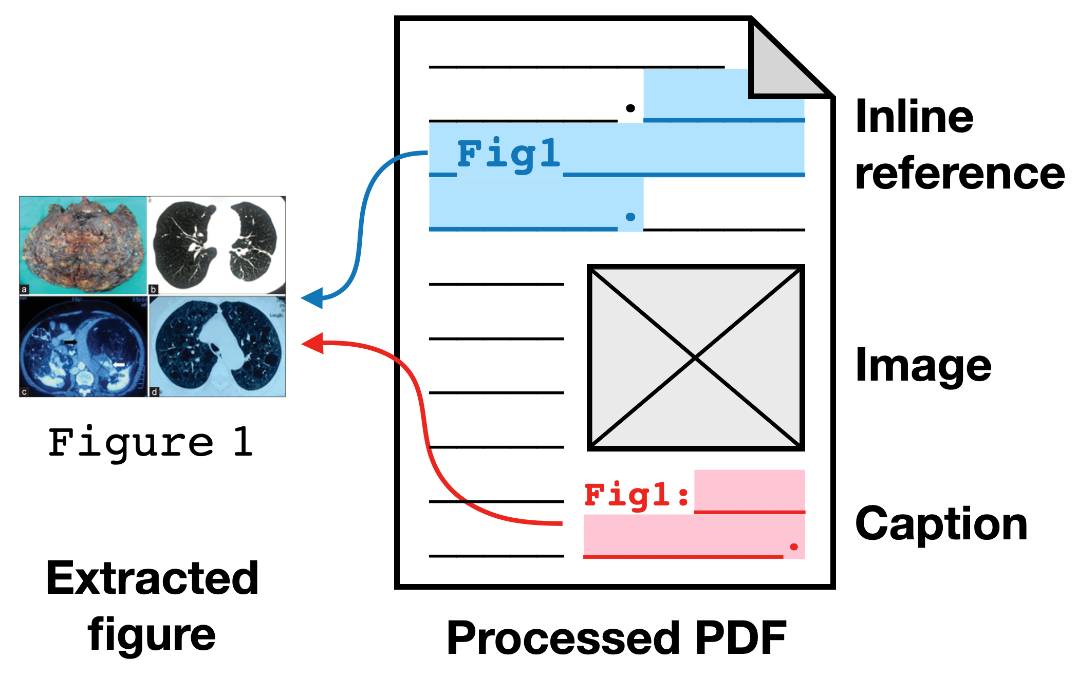 Figure 3: Extracted figures from anonymized are aligned with the S2ORC parse of the paper PDF to link caption text (red) and inline references (blue) to each image. Example figure from [5]