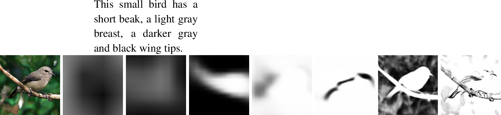 Figure 5: Example of mask maps predicted in different SSACN blocks. From left to right: input text, generated image and the 7 predicted mask maps (from shallower to deeper layer). Best view in color and zoom in.
