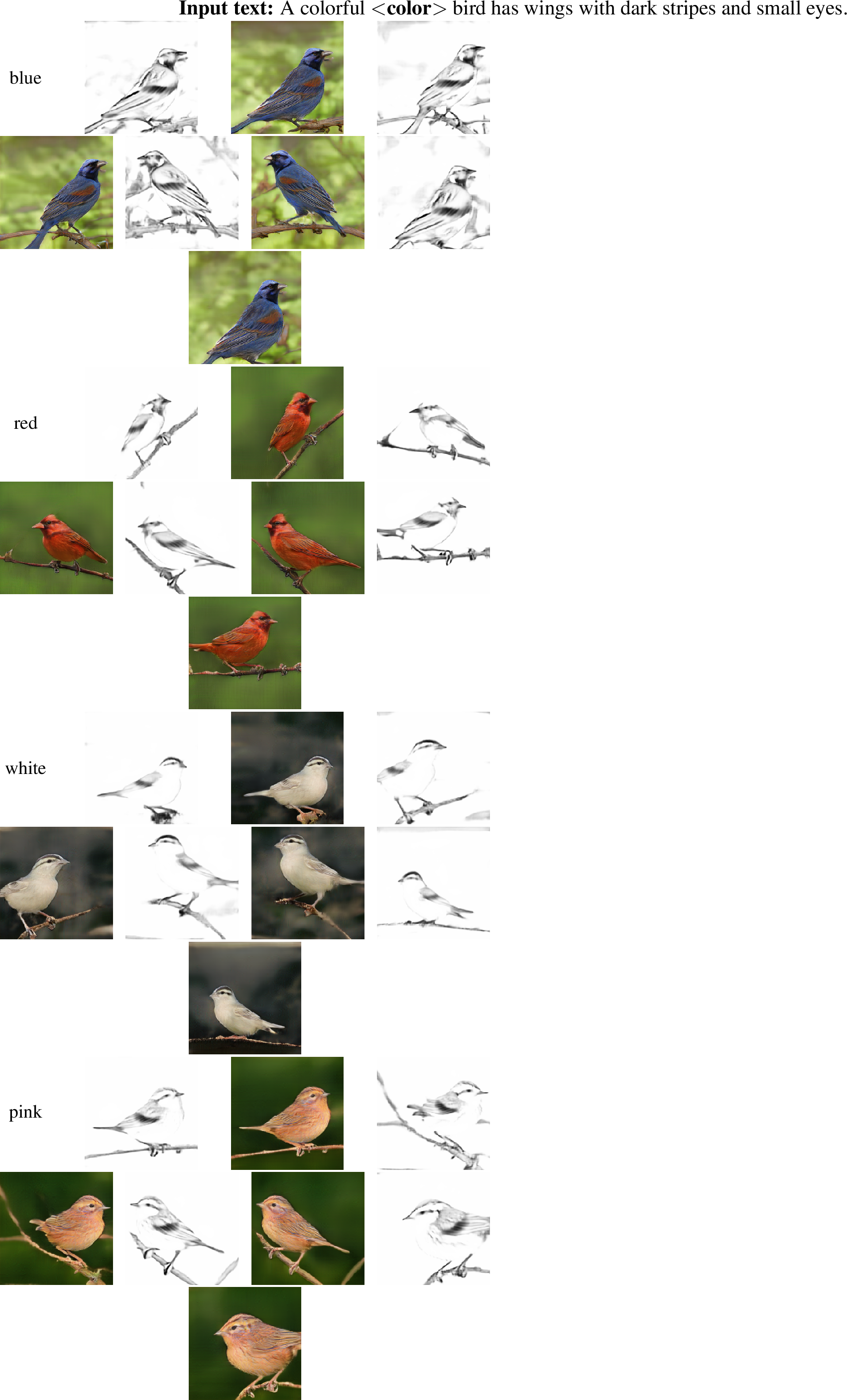 Figure 11: Examples of diverse image generation by changing the color of the input text from our method on the test set of CUB dataset. The odd columns show the final predicted masks, and the even columns show the corresponding generated images. Best view in color and zoom in.