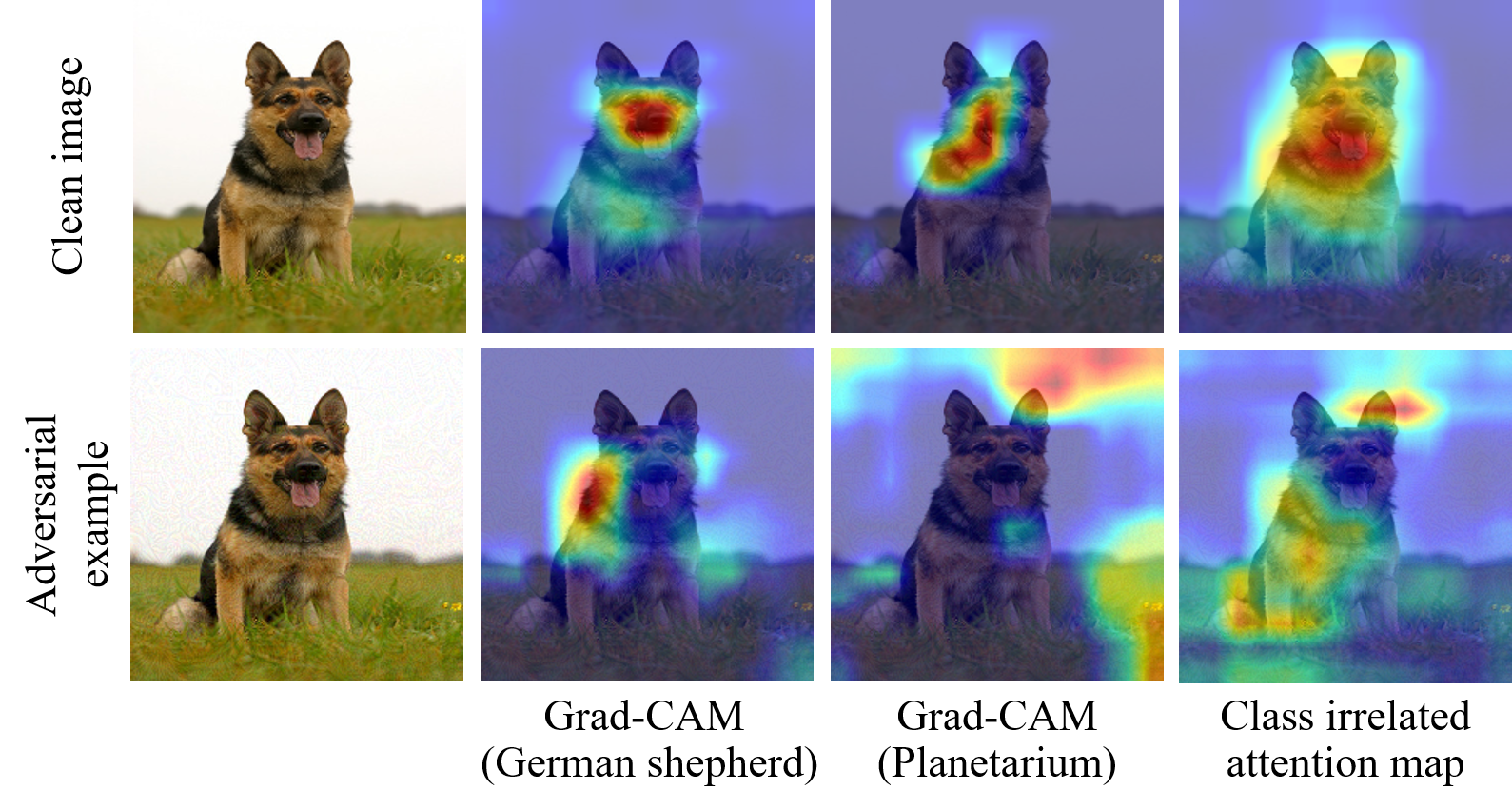Figure 1: A clean image (“German shepherd”) and its adversarial example (incorrectly classified as “Planetarium”) are in the first column. The class relevant attention maps (Grad-CAM) of correct and incorrect labels, and the class irrelevant attention maps are shown in the second, third and fourth columns, respectively. It shows that the adversarial perturbations corrupt the attention maps.