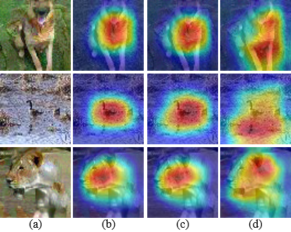 Figure 5: (a) Sample adversarial examples. (b) Attention maps obtained from clean images, which are treated as ground truth. (c) and (d) are the attention maps obtained by AGDK-BML and AT.