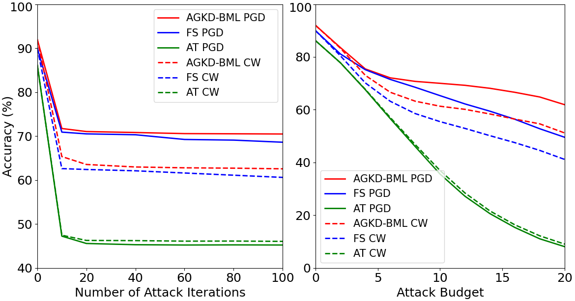 Figure 6: The accuracy under different attack iterations and perturbation budgets (\epsilon).