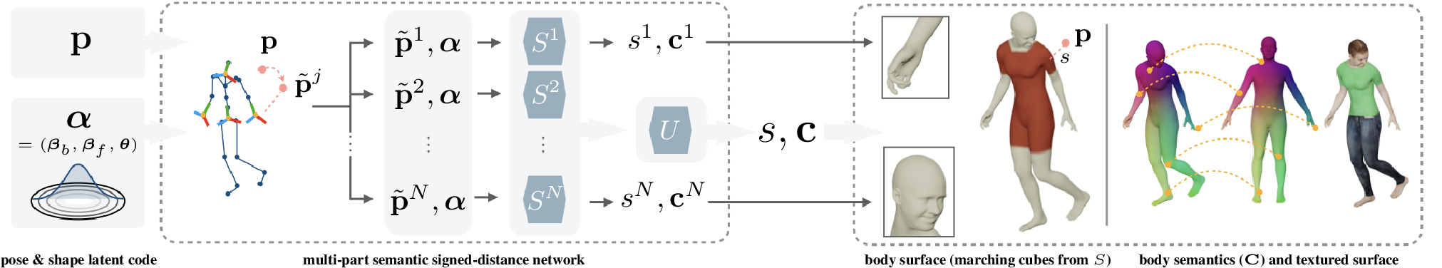 Figure 2: Overview of imGHUM. We compute the signed distance s=S(\mathbf{p},\boldsymbol{\alpha}) and the semantics \mathbf{c}=\mathbf{C}(\mathbf{p},\boldsymbol{\alpha}) of a spatial point \mathbf{p} to the surface of an articulated human shape defined by the generative latent code \boldsymbol{\alpha}. Using an explicit skeleton, we transform the point \mathbf{p} into the normalized coordinate frames as \{\tilde{\mathbf{p}}^j\} for N=4 sub-part networks, modeling body, hands, and head. Each sub-model \{S^j\} represents a semantic signed-distance function. The sub-models are finally combined consistently using an MLP U to compute the outputs s and \mathbf{c} for the full body. Our multi-part pipeline builds a full body model as well as sub-part models for head and hands, jointly, in a consistent training loop. On the right, we visualize the zero-level-set body surface extracted with marching cubes and the implicit correspondences to a canonical instance given by the output semantics. The semantics allows e.g.for surface coloring or texturing.
