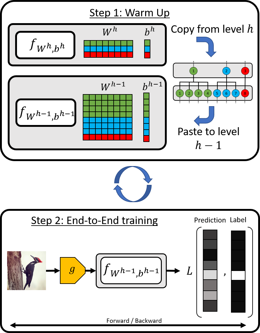Figure 2: Overview of CHAT. Our hierarchical curriculum has two steps: the warm up (upper Figure) and the end-to-end training (bottom Figure). The warm up consist on transferring the weights and biases from the parent node to its offspring. The second step consist on training the model’s parameters, W^{h-1} and b^{h-1} in a end-to-end manner.