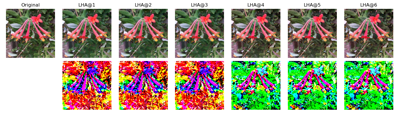 Figure 17: GHA Adversarial examples