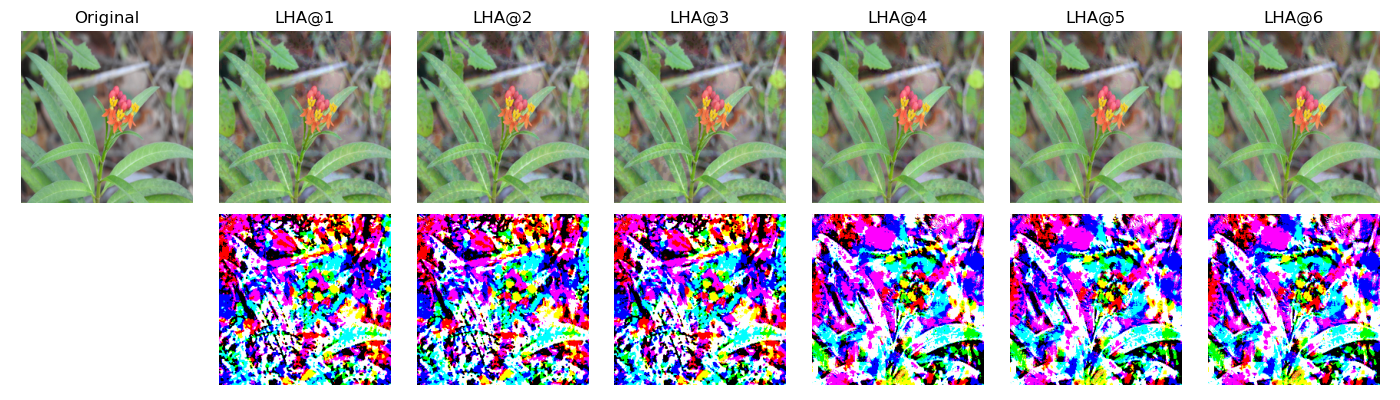 Figure 18: GHA Adversarial examples