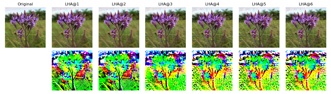 Figure 19: GHA Adversarial examples
