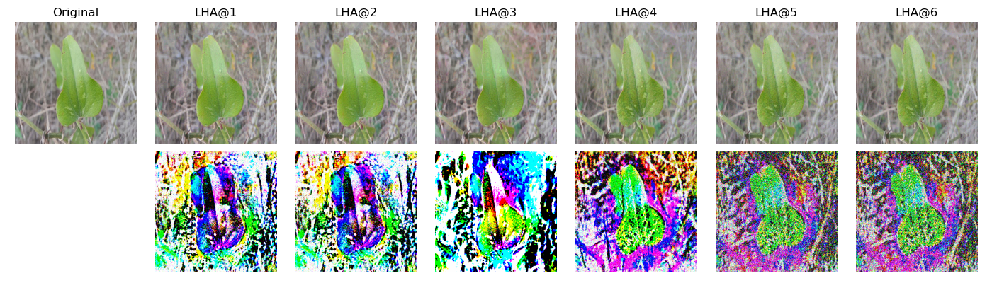 Figure 20: GHA Adversarial examples