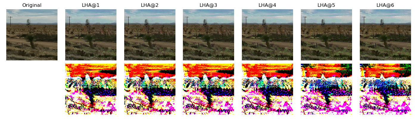 Figure 21: GHA Adversarial examples