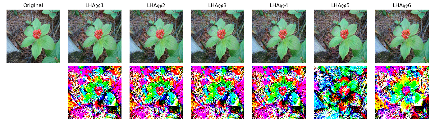 Figure 24: LHA Adversarial examples