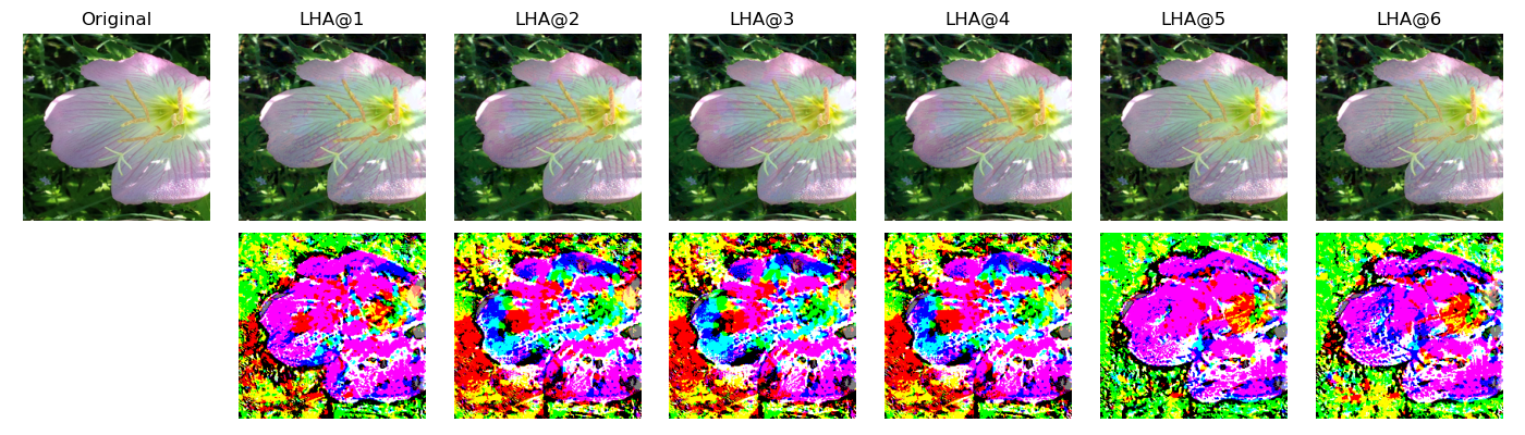 Figure 25: LHA Adversarial examples