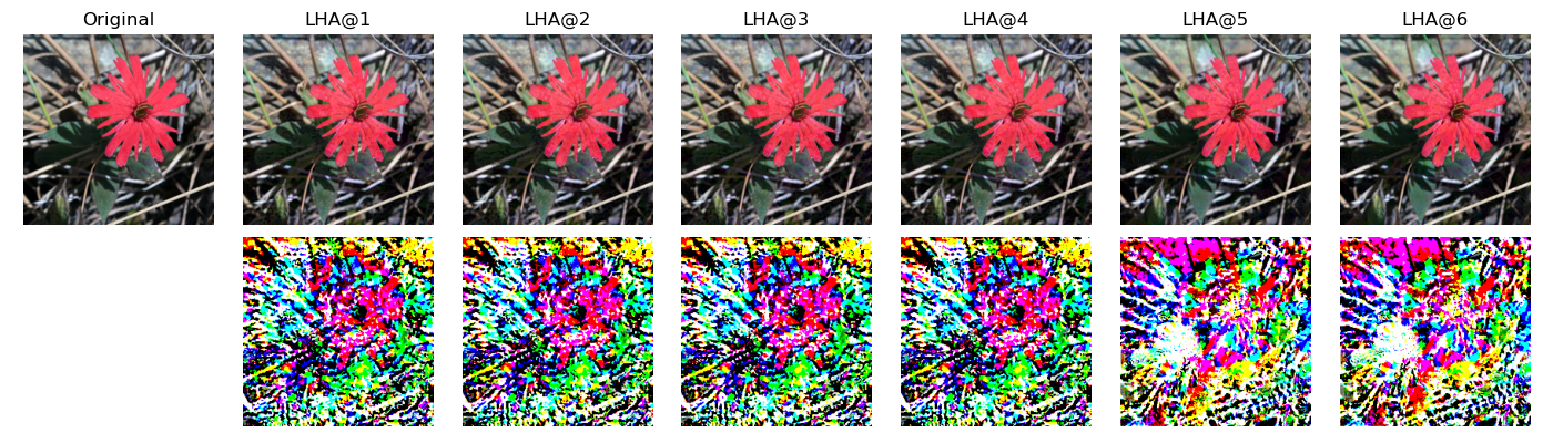 Figure 26: LHA Adversarial examples