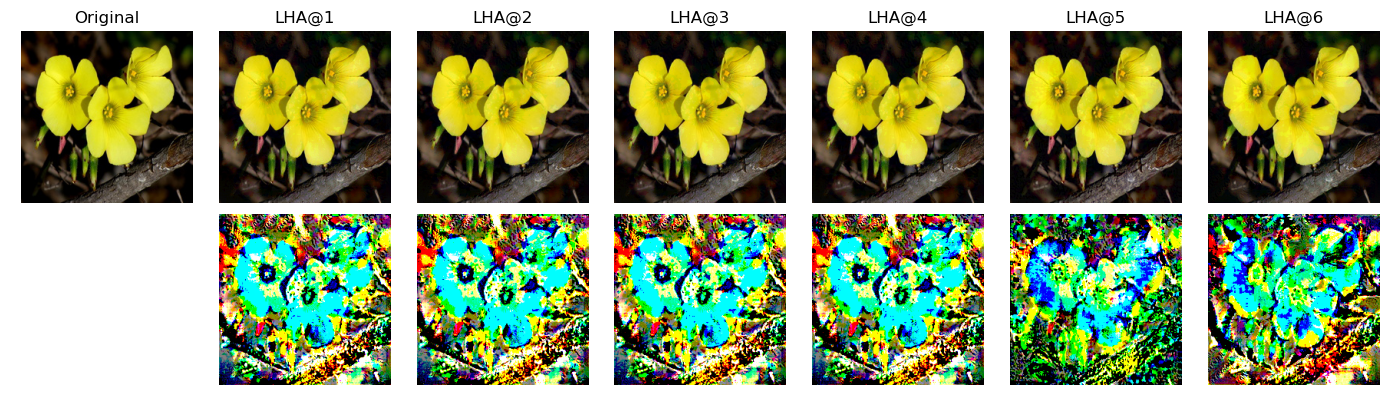 Figure 27: LHA Adversarial examples