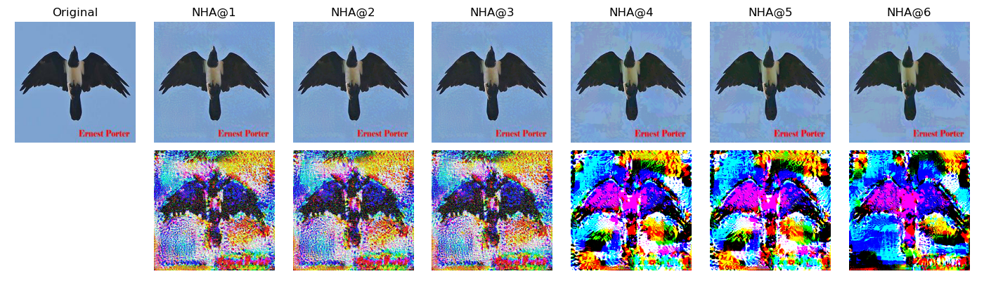 Figure 8: NHA Adversarial examples