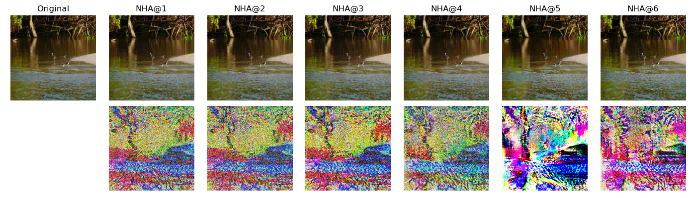 Figure 9: NHA Adversarial examples