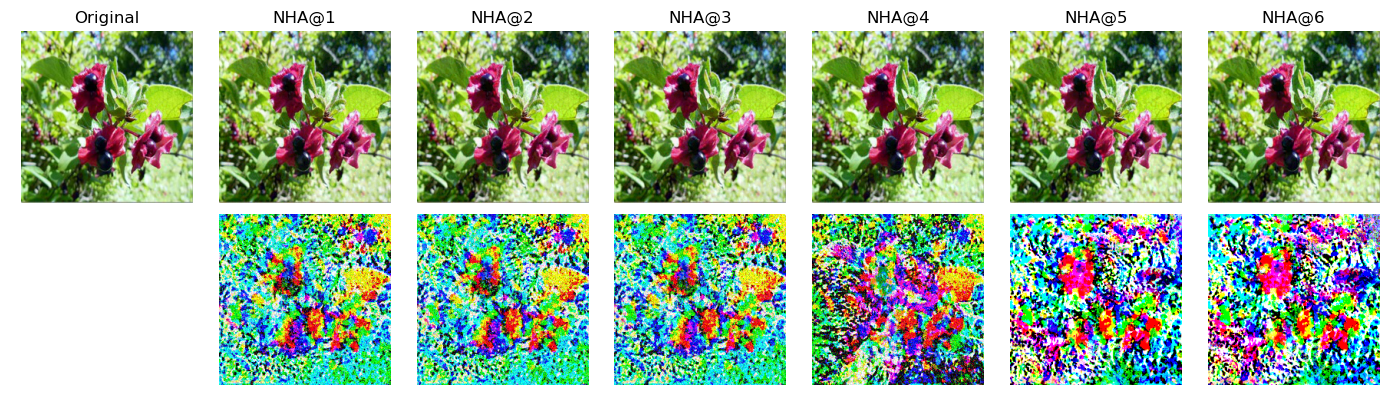 Figure 10: NHA Adversarial examples