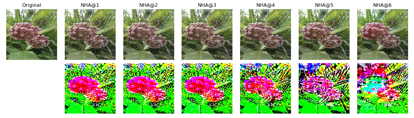 Figure 11: NHA Adversarial examples