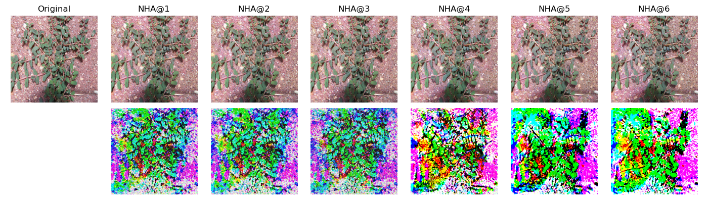 Figure 12: NHA Adversarial examples