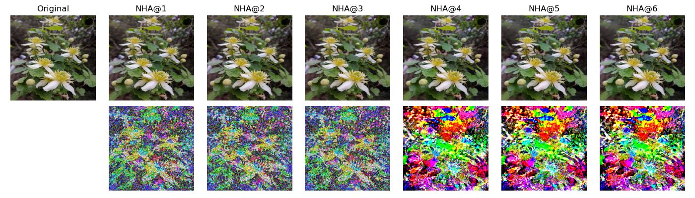 Figure 13: NHA Adversarial examples