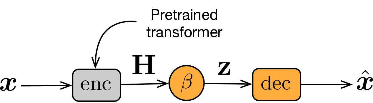 Figure 1: Our autoencoder consists of a pretrained transformer encoder \text{enc}, a function \beta that compresses the encoder’s final representations \mathbf{H} of size T \times dto a sentence bottleneck representation \mathbf{z} of size d, and a transformer decoder \text{dec} that is trained to fully reconstruct the training sentence \boldsymbol{x}.