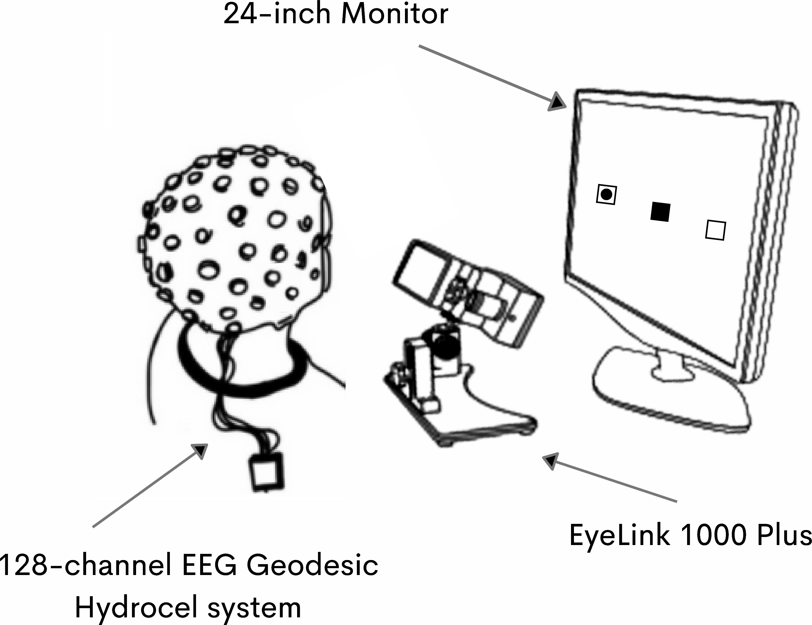 Figure 1: Recording Setup
