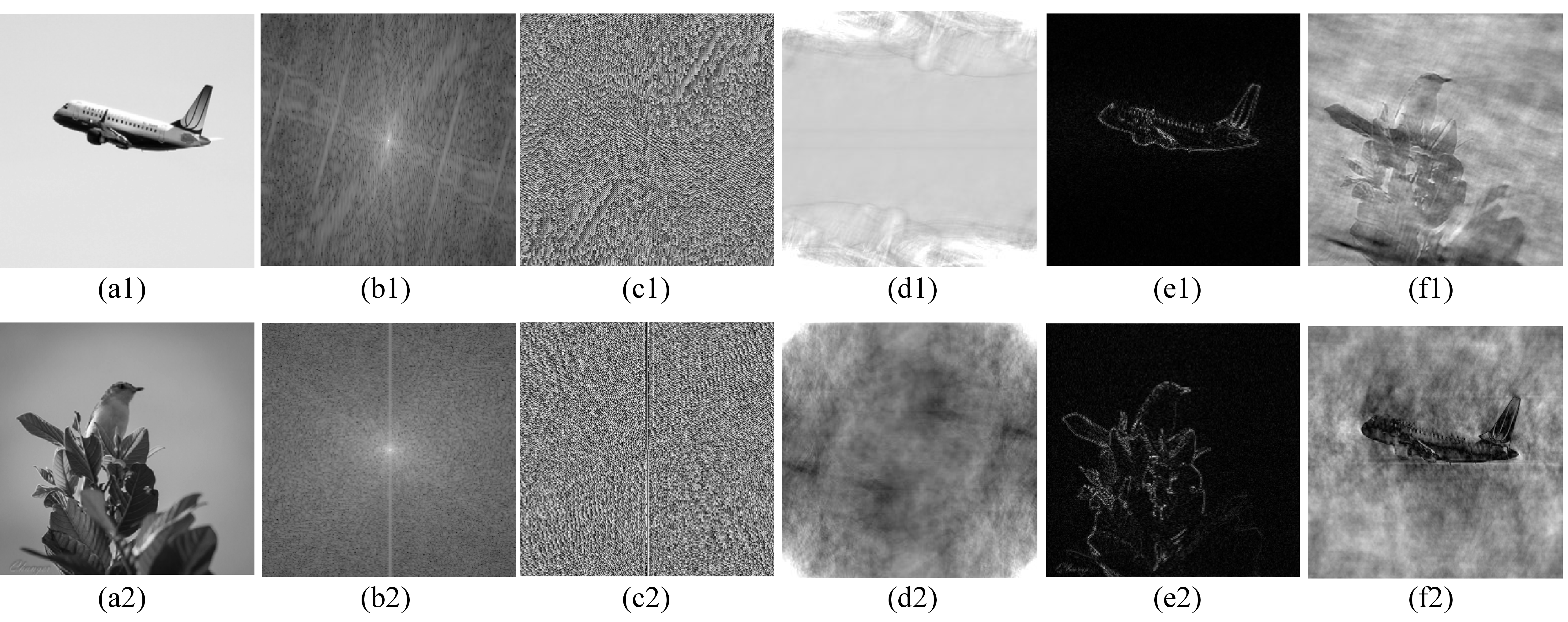 Figure 4: Examples of amplitude-only, phase-only and phase-exchange reconstruction. The original images are shown in (a1-a2) and we performed DFT on them to obtain their amplitude spectrums (b1-b2) and phase spectrums (c1-c2). (d1-d2) are reconstructed images with the corresponding amplitude unchanged but the phase component being set to a constant. (e1-e2) are reconstructed images with the phase unchanged but the amplitude component being set to a constant. (f1-f2) are reconstructed images with the amplitude spectrums unchanged but phase spectrums exchanged.