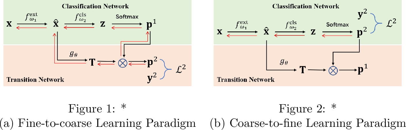 Figure 11: Illustration of information flow during training for the sample \mathbf{x} (labeled only at the 2-nd hierarchy \mathbf{y}^2). Notations: f_\omega=f^{\rm cls}_{\omega_1}\circ f^{\rm ext}_{\omega_2} denotes the Classification Network with parameters \omega=\{\omega_1,\omega_2\}, and g_\theta represents the Transition Network with parameters \theta; Black lines represent data flow in the forward propagation process, while red lines indicate gradient flow in the backward propagation process.