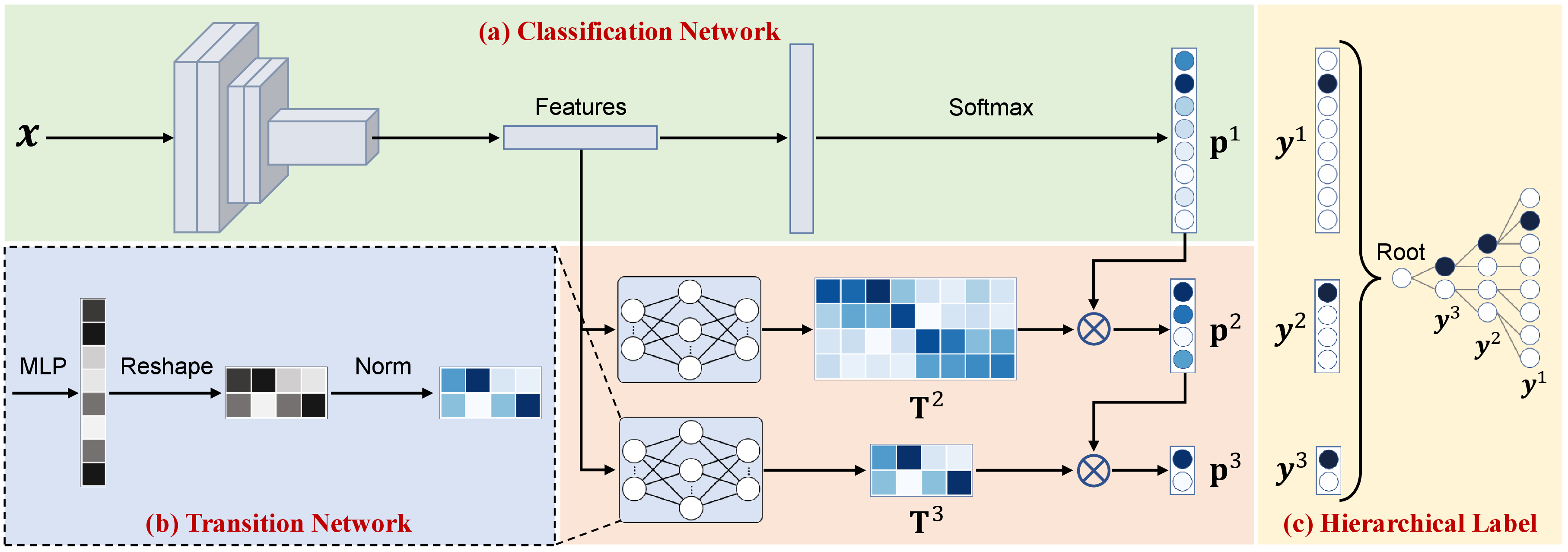 Figure 2: Schematic illustration of the proposed LHT model. We take a three-level hierarchical classification as an example, where the number of classes within each hierarchy is 8, 4 and 2, respectively. The model consists of two key components: () Classification Network, which can be any existing classification network for predicting the labels of the finest-level hierarchy; () Transition Network, which leverages a light-weight network (e.g., a multi-layer perceptron (MLP) with one single hidden layer) to map the feature embedding of the input sample to the label hierarchy transition matrix for each hierarchy. For each coarse-level hierarchy, its label prediction is obtained by multiplying the corresponding transition matrix by the label prediction of its adjacent fine-level hierarchy.