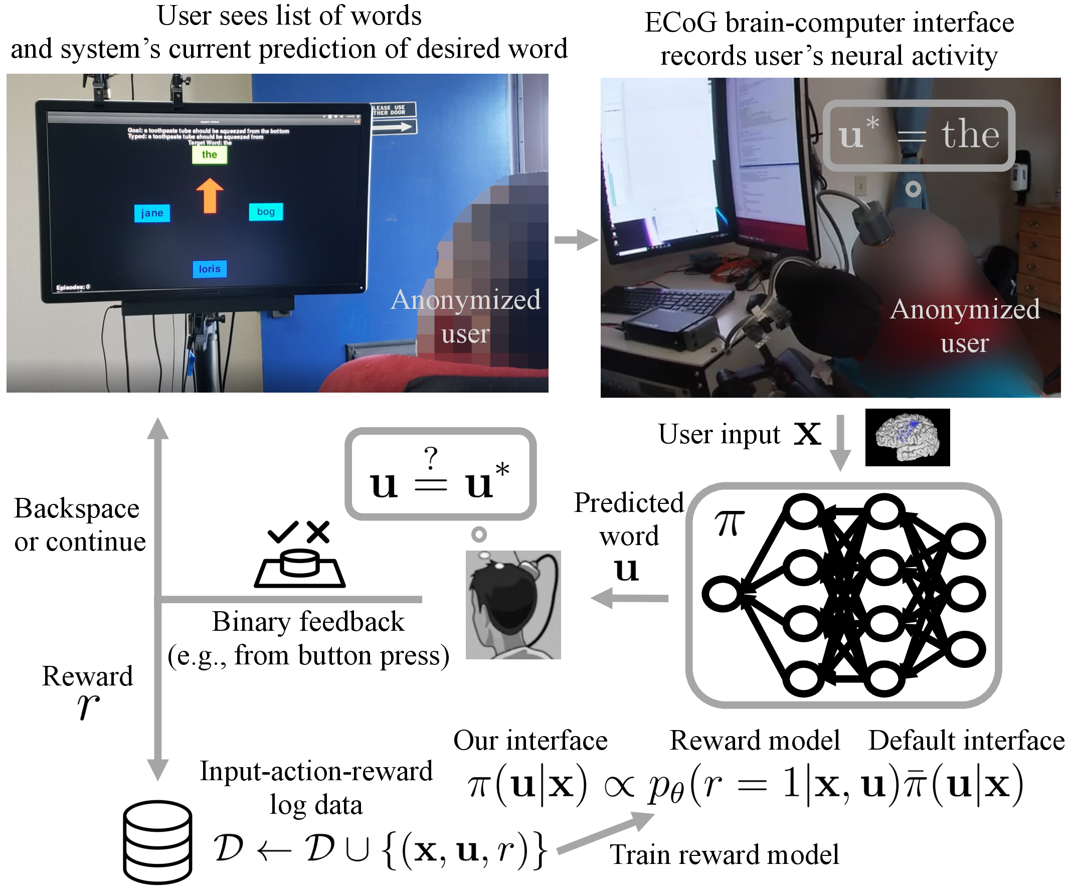 Figure 1: We formulate assistive typing as a human-in-the-loop decision-making problem, in which the interface observes user inputs (e.g., neural activity measured by a brain implant) and performs actions (e.g., word selections) on behalf of the user. We treat a backspace as feedback from the user that the interface performed the wrong action. By training a model online to predict backspaces, we continually improve the interface.