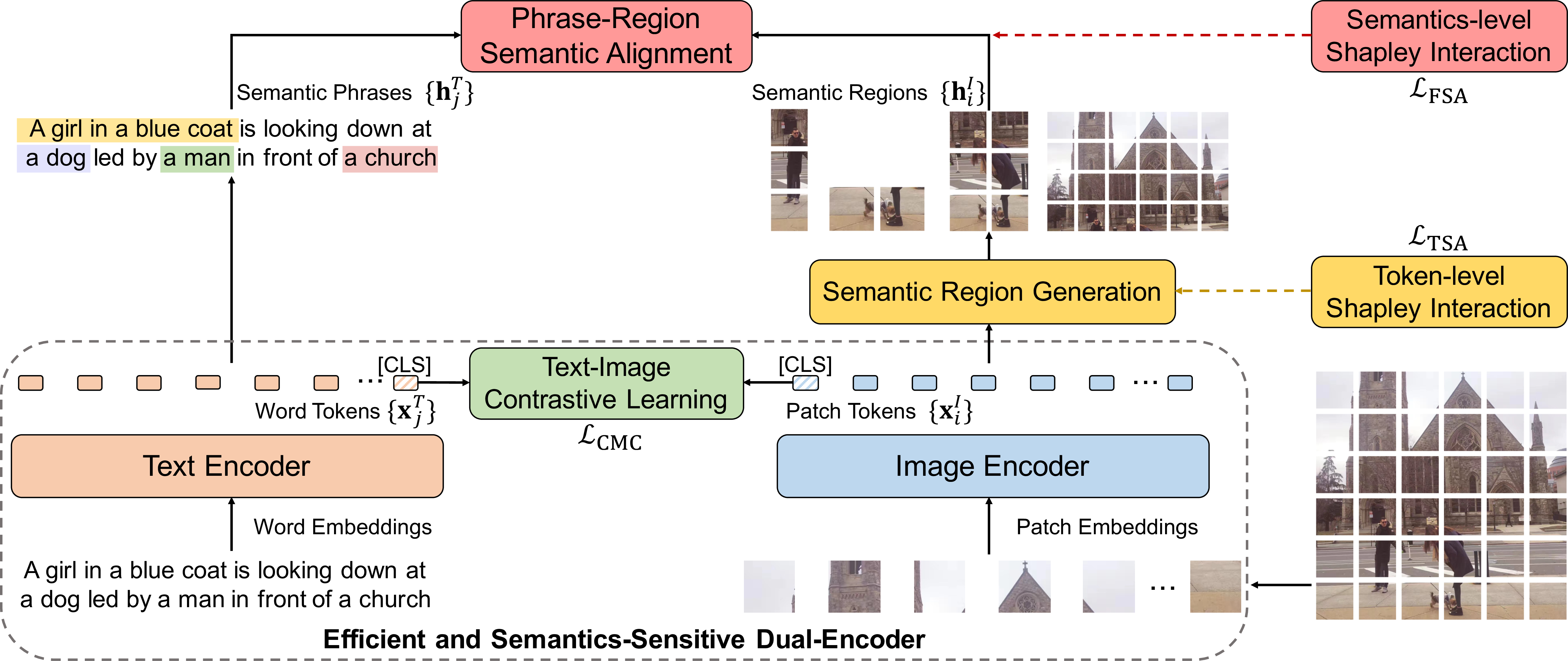Figure 1: Overview of LOUPE. Our framework serves as a proxy training objective that encourages the image encoder to capture semantic regions and establishes the semantic alignment between region and phrase representations. The proxy training objective can be easily removed for downstream tasks, rendering an efficient and semantics-sensitive dual-encoder.