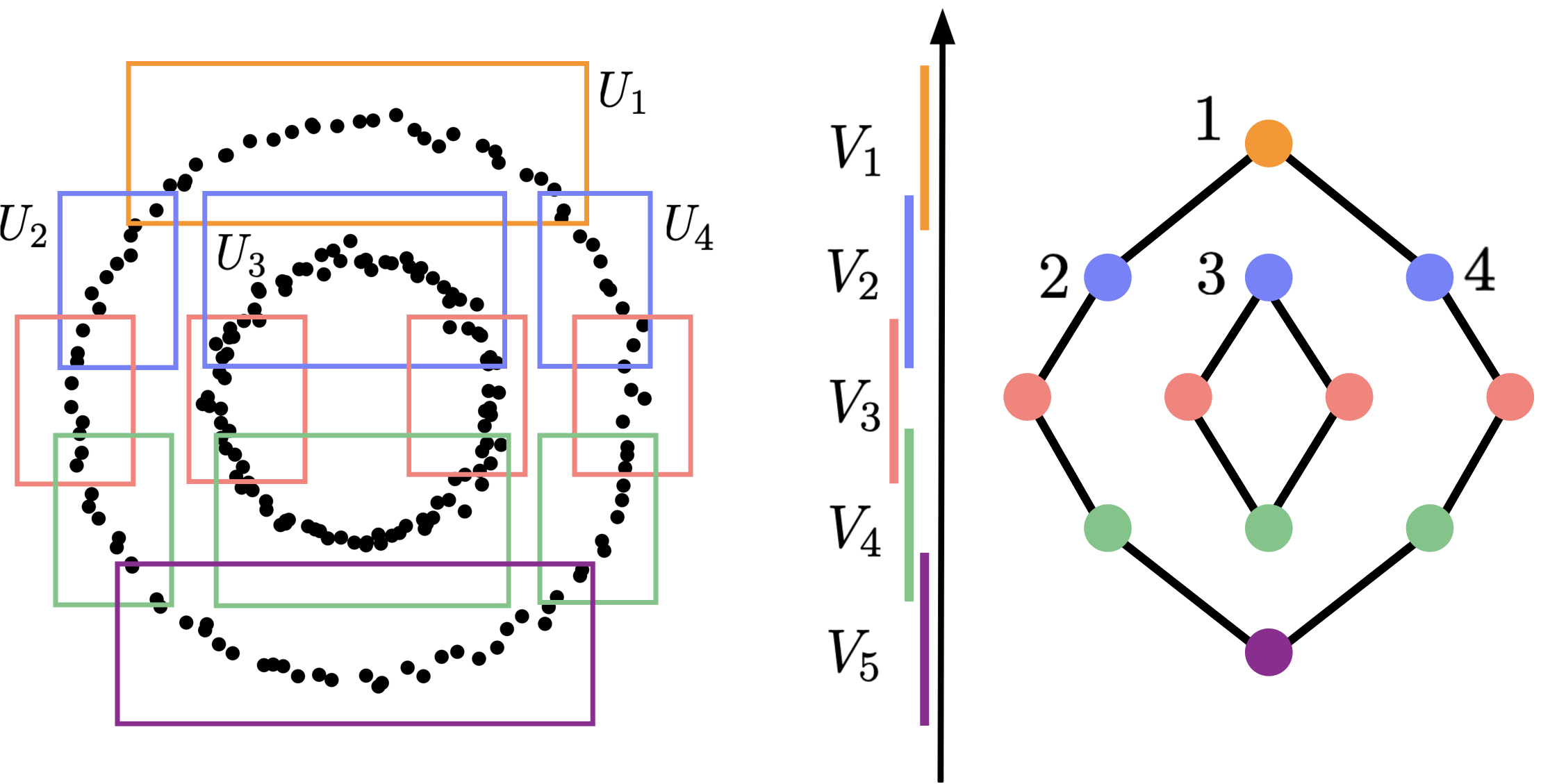Figure 3: A mapper graph of a point cloud containing two nested circles.