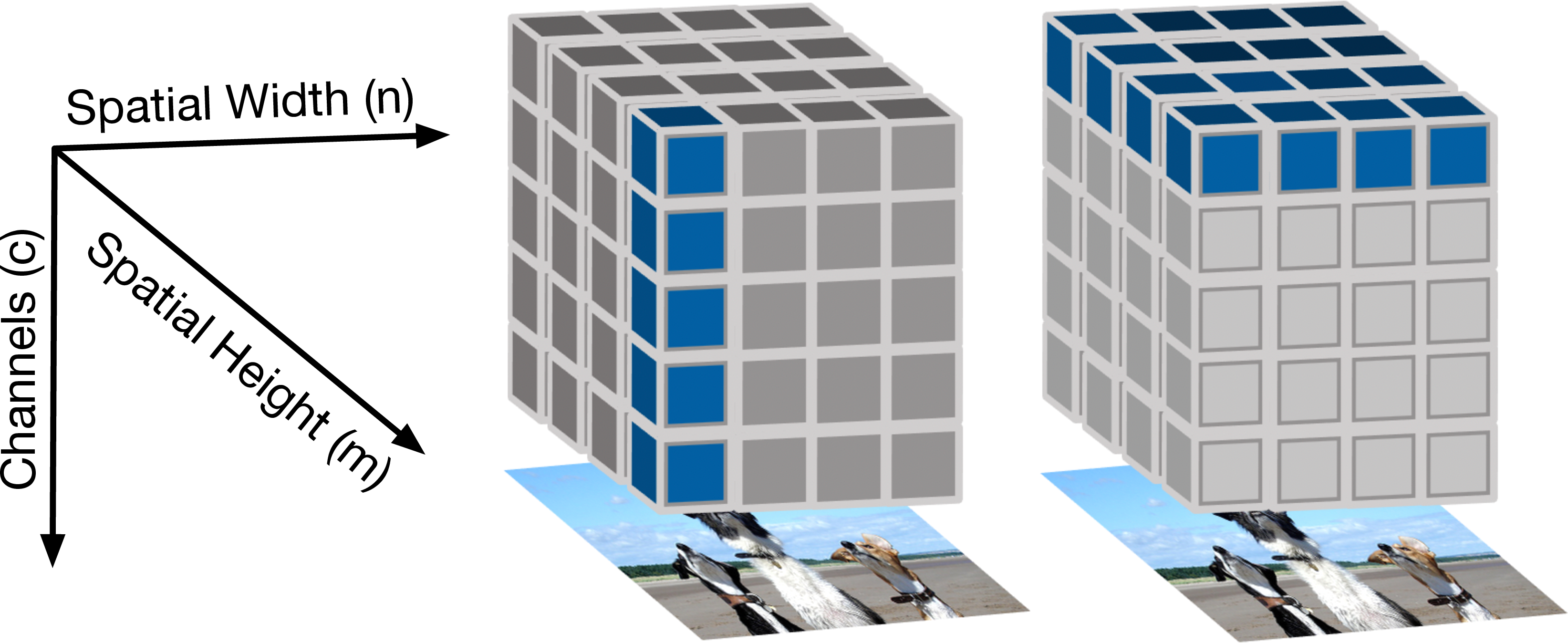 Figure 1: Visualization of spatial activation (middle) and channel activation (right) within an activation tensor.