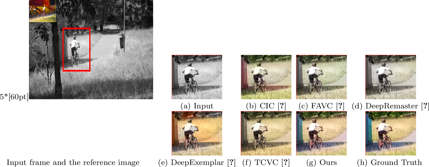 Figure 4: Qualitative colorization comparisons on clip bmx-trees from the DAVIS dataset [31]. Our method in (g) is able to avoid color contamination near the boundaries of lawns and roads.