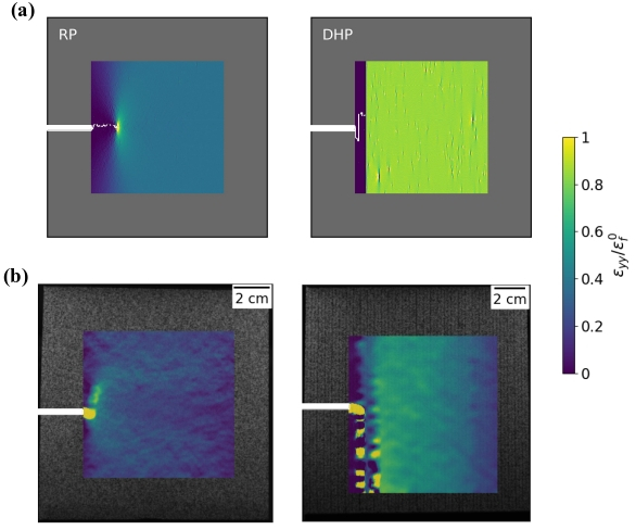 Figure 3: Comparison of strain patterns in simulation (a) and experiment (b); left: non-hierarchical (RP) sample, right: hierarchical (DHP) sample; strain patterns are determined at the peak stress in a displacement controlled test, the initial crack of length a/L = 0.2 is marked in white; the colorscale indicates the local strain, normalized by the mean failure strain \varepsilon_{\rm f}^0 of a DHP sample without initial crack.