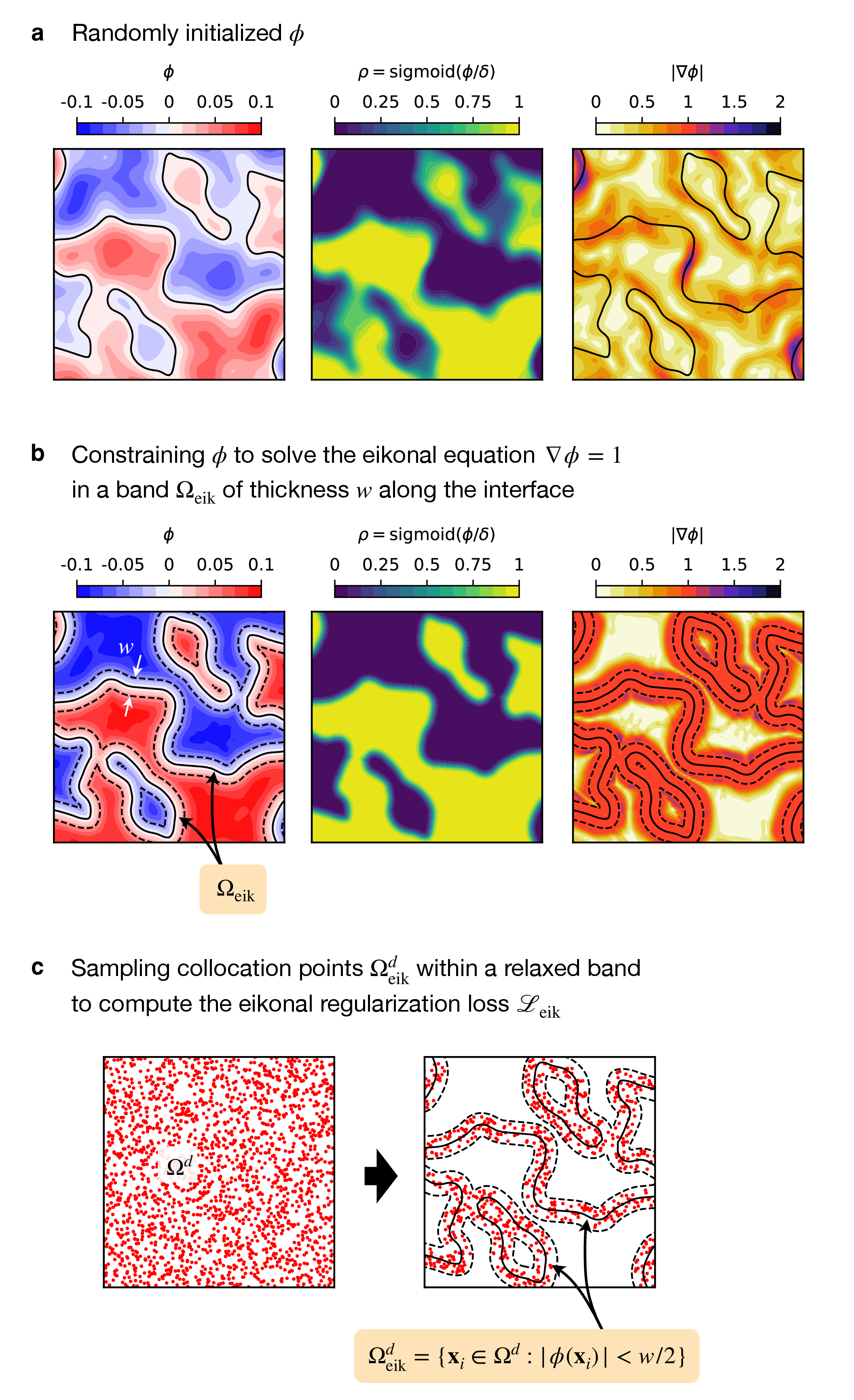 Figure 3: Eikonal regularization of the material density. \mathbf{a}, A random level-set function \phi yields a material density \rho = \mathrm{sigmoid}(\phi/\delta) with large regions of values between 0 and 1, due to the nonuniformity of the gradient |\nabla \phi| along the material boundaries defined by the zero level-set of \phi (black lines). \mathbf{b}, Constraining \phi to solve the eikonal equation \nabla \phi = 1 in a narrow band \Omega_\mathrm{eik} of thickness w (delineated by the dashed lines) along the material boundaries results in a uniform transition thickness of \rho from 0 to 1, without large regions of intermediate density values. \mathbf{c}, The loss \mathcal{L}_\mathrm{eik} implements the eikonal regularization in the PINN-based TO framework by penalizing violations of the constraint |\nabla \phi| = 1 in a subset of collocation points \Omega_\mathrm{eik}^d \subset \Omega_d that approximates the true narrow band \Omega_\mathrm{eik}.