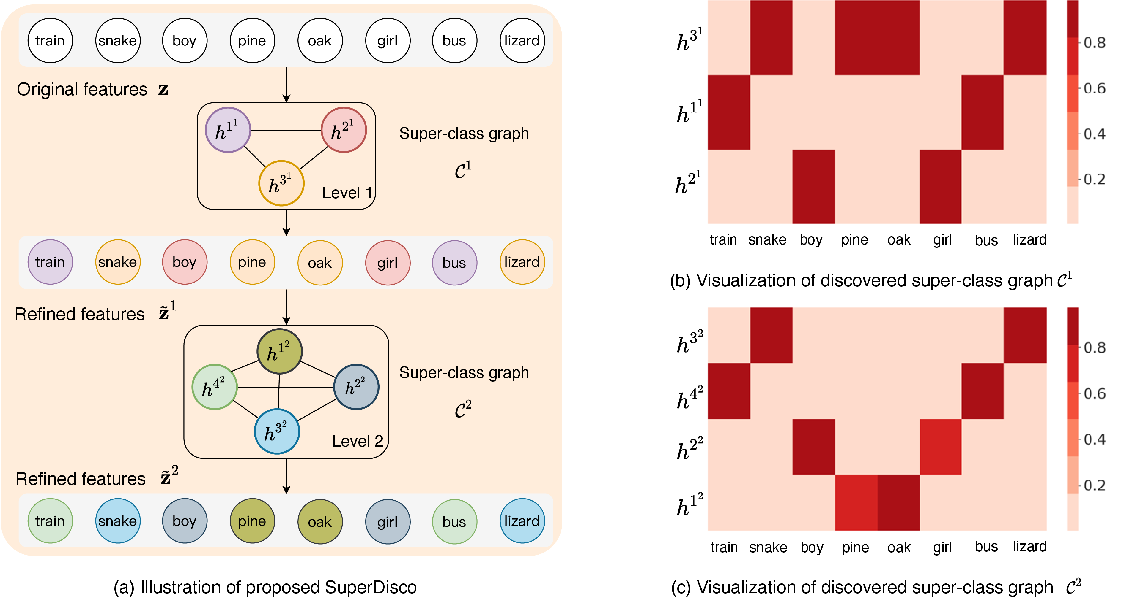 Figure 2: Illustration of proposed SuperDisco (a) and visualization of the similarity between the classes and discovered super-class at different levels (b), (c). In (a), we show two levels of super-class graphs \mathcal{C}^1 and \mathcal{C}^2 . The colour in each graph represents the discovered super-class. SuperDisco discovers the potential super-class at different levels hidden in each category from (b) and (c). \mathcal{C}^1 roughly categorizes the original classes into three relatively balanced super-classes, and \mathcal{C}^2 then finely categorize them into four more balanced super-classes.