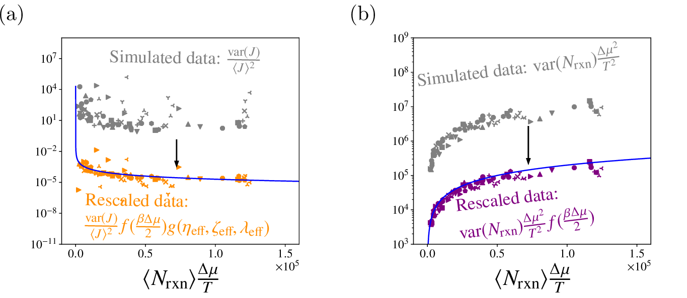 Figure 3: Plots showing the rescaling of Eqs. 10 and 11 applied to the simulated J and N_{\rm rxn} current fluctuations from molecular dynamics simulations of catenane motors. That the rescaled fluctuations lie on the curves of the TUR bounds indicates that the analytical scaling factors quantify how far the fluctuations are from the TUR bounds.