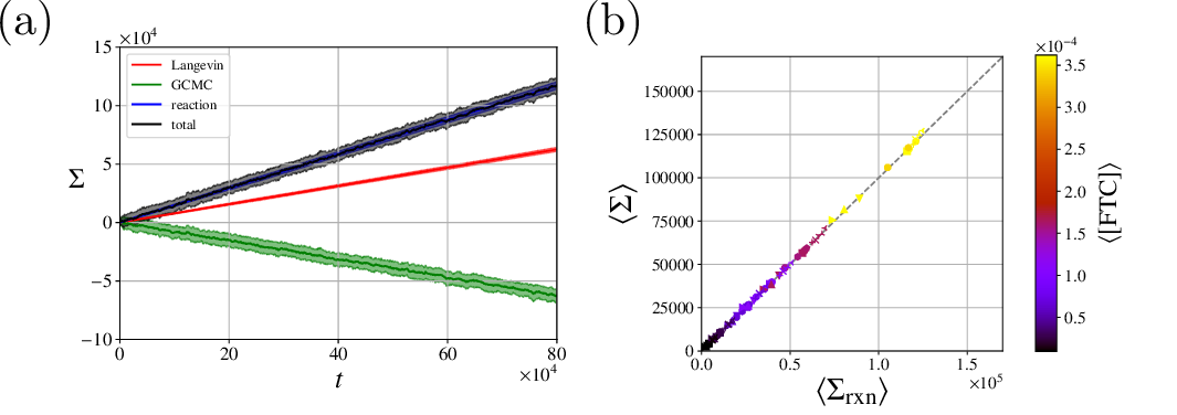 Figure 5: (a) Total cumulative entropy production (black, Eq. 31 ) and component cumulative entropy production for Langevin contributions (red, Eq. 25 ), GCMC contributions (green, Eq. 29 ), and reaction contributions (blue, Eq. 30 ) over the course of a simulation upon reaching steady state.The simulation uses \mu_{\mathrm{FTC}}^{\prime}=1.0, \mu_{\mathrm{ETC}}^{\prime}=-10, \mu_{\mathrm{C}}^{\prime}=-10, and \gamma=0.5 with a motor with N_{\mathrm{motif}}=2.Simulations are 5 \times 10^{8} time steps long with a time step size of \Delta t = 0.002 with the plot showing the last 4 \times 10^8 time steps after a steady state has been reached.Solid lines represent the mean and shaded areas represent the standard deviation over 50 independent trajectories.(b) The averaged total entropy production \langle \Sigma \rangle is equal to the averaged reaction entropy production \langle \Sigma_\mathrm{rxn} \rangle, \langle \Sigma \rangle \approx \langle \Sigma_\mathrm{rxn} \rangle, verified for a family of catenane motors with varying numbers of binding and catalytic sites, friction, and backbone rigidity, denoted with different symbols (see Section 1 for details). The color bar shows the concentration of FTC molecules, which is controlled by the associated chemical potential.