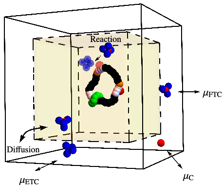 Figure 4: The motor consists of a smaller shuttling ring (green) that diffuses around a large ring. The shuttling ring preferentially resides at binding sites (orange) located next to catalytic sites (white), which catalyze a decomposition reaction. The decomposition reaction of an FTC (blue and red) into an ETC (blue) and C (red), can leave a C bound to the large ring, impeding the diffusion of the shuttling ring. The C can also naturally unbind and diffuse away. By coupling these processes with GCMC moves that maintain a high concentration of FTC and a low concentration of ETC and C, the shuttling ring’s diffusion can be biased in a preferred direction as a result of the gradient in chemical potential caused by the nonequilibrium concentrations. The motor is constrained to the inner box (yellow) by a wall potential. GCMC only occurs in the outer volume (white). FTC, ETC, and C are free to pass between the inner and outer volumes, resulting in nonequilibrium steady-state concentrations and a constant net movement of the shuttling ring.