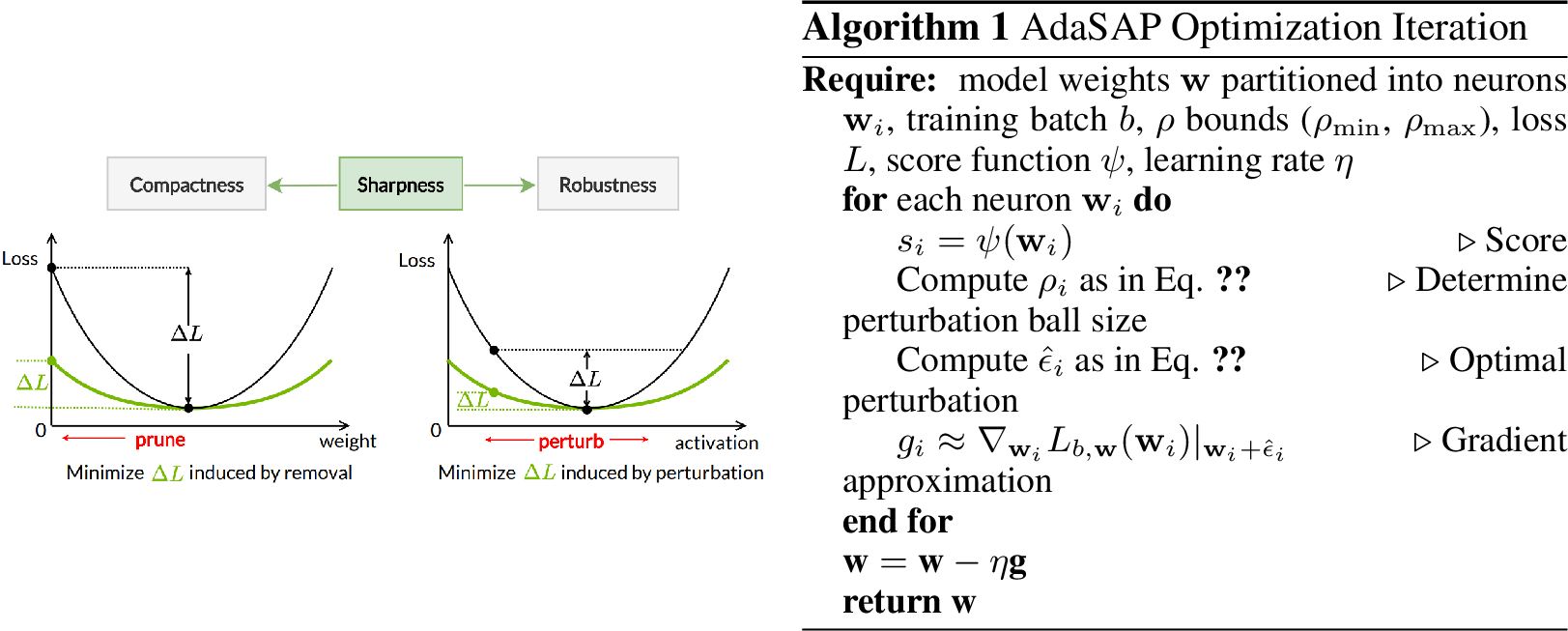 Figure 3: (Left) Before pruning, encourage neurons that will be pruned to lie within a flat minimum, since their removal will affect the loss less. (Right) After pruning, promote robustness by encouraging flatness across the network.