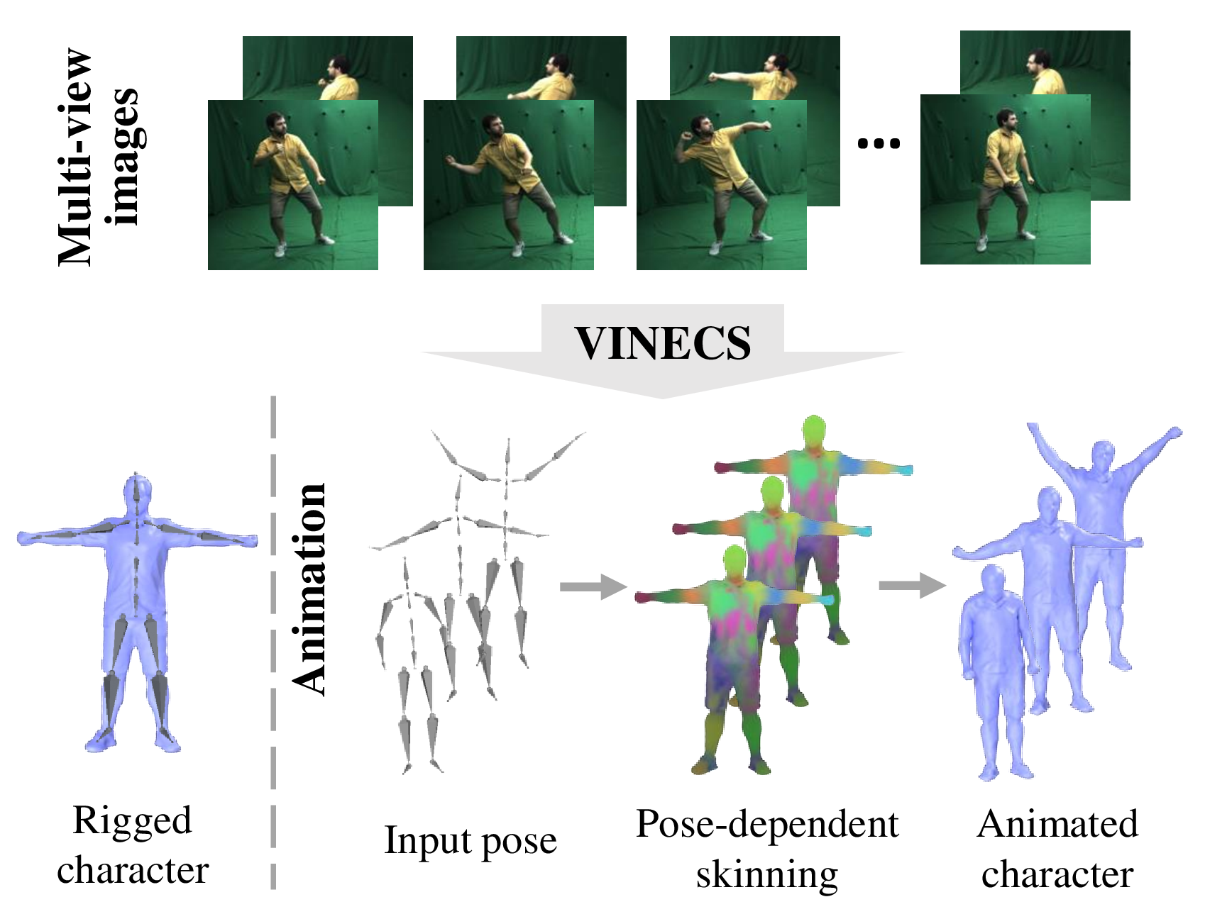 Figure 1: We propose the first end-to-end trainable method for generating a dense and rigged 3D character mesh including learned pose-dependent skinning weights solely from multi-view videos. The results demonstrate that our model can generate visually-plausible geometry without requiring manual user input.