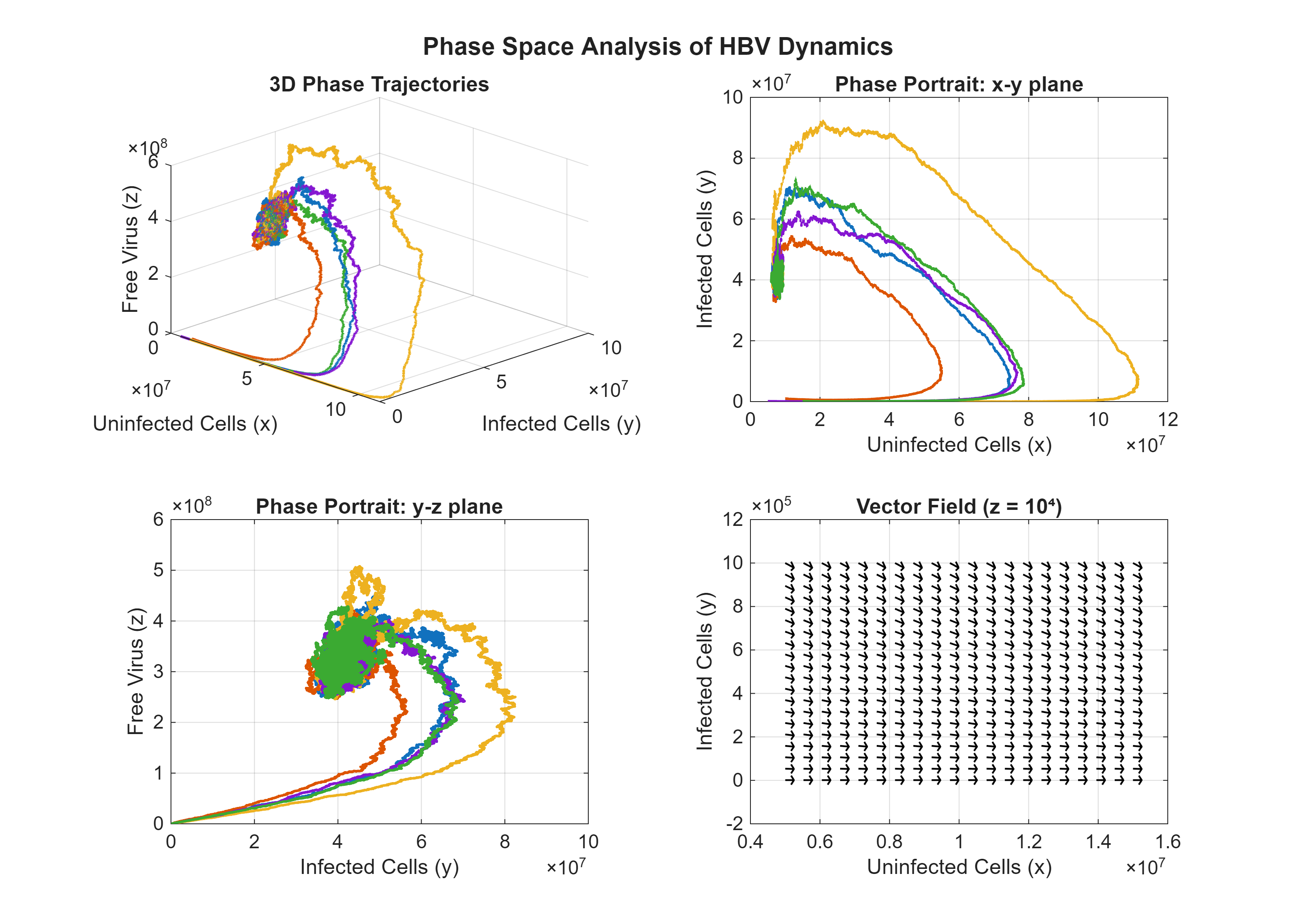 Figure 8: Phase–space organization. Top left: multiple 3D trajectories (x,y,z) from several initial conditions under the same noise realization. Top right and bottom left: planar portraits in (x,y) and (y,z) planes. Bottom right: normalized deterministic vector field on the (x,y)–plane at fixed z=10^4. Trajectories are attracted either to a disease–free manifold or to a small stochastic neighborhood of an endemic balance, consistent with the regimes shown earlier.