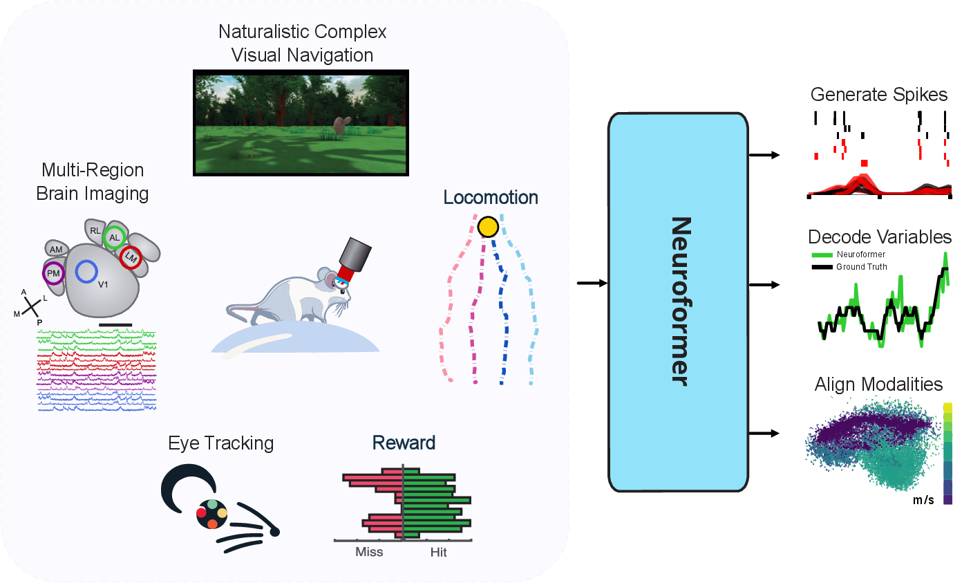 Figure 7: Neuroformer can incorporate a diverse range of modalities that are recorded in large-scale systems neuroscience experiments. Here, we show some of the modalities collected in the visual navigation experiment used to train our model.