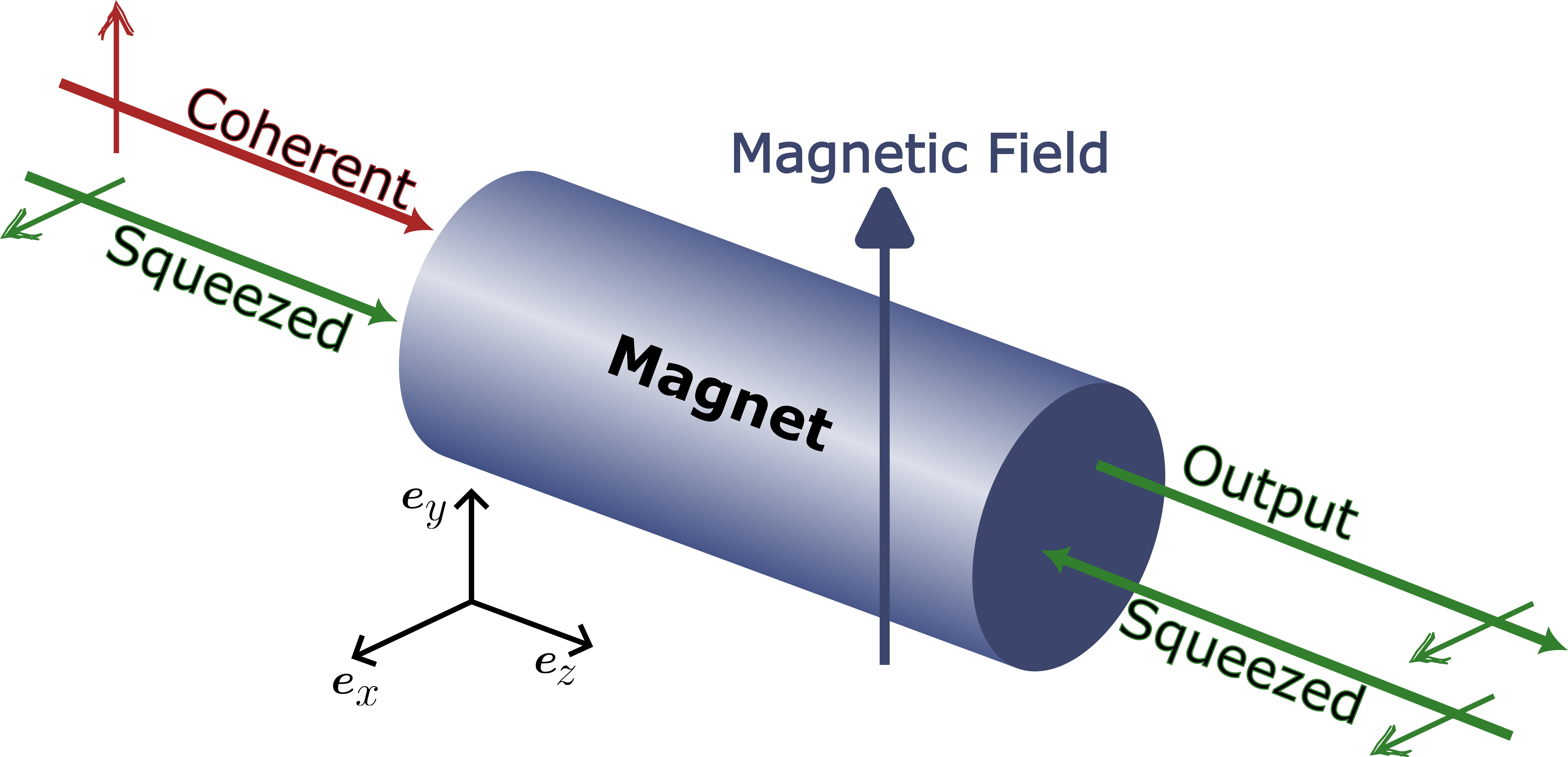 Figure 1: Envisioned setup consisting of a waveguide made of a magnetic material. The red incoming line denotes a large coherent optical input in the \boldsymbol{e}_y-polarization. The green incoming lines denote squeezed vacuum in the \boldsymbol{e}_x-polarization while the outgoing line is the output to be measured. A static magnetic field saturates the magnetization along \boldsymbol{e}_y.