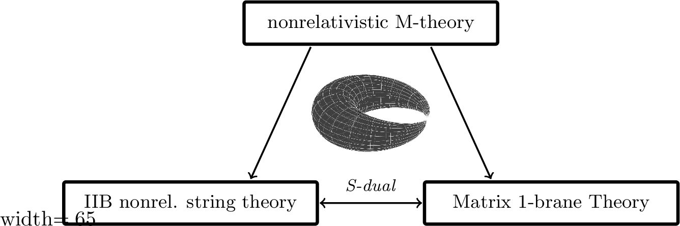 Figure 8: Compactifying nonrelativistic M-theory over a vanishing, pinched two-torus leads to two distinct decoupling limits of type IIB sueprstring theory in ten dimensions: (1) type IIB nonrelativistic superstring theory, where the B-field is fined tuned to its critical value to cancel the background fundamental string tension; (2) Matrix 1-brane theory, where the RR two-form is fined tuned to its critical value to cancel the background D1-string tension. These two theories are S-dual to each other.