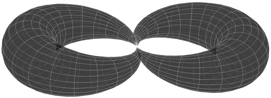 Figure 6: A more general Deligne-Mumford compactification of Riemann surface.