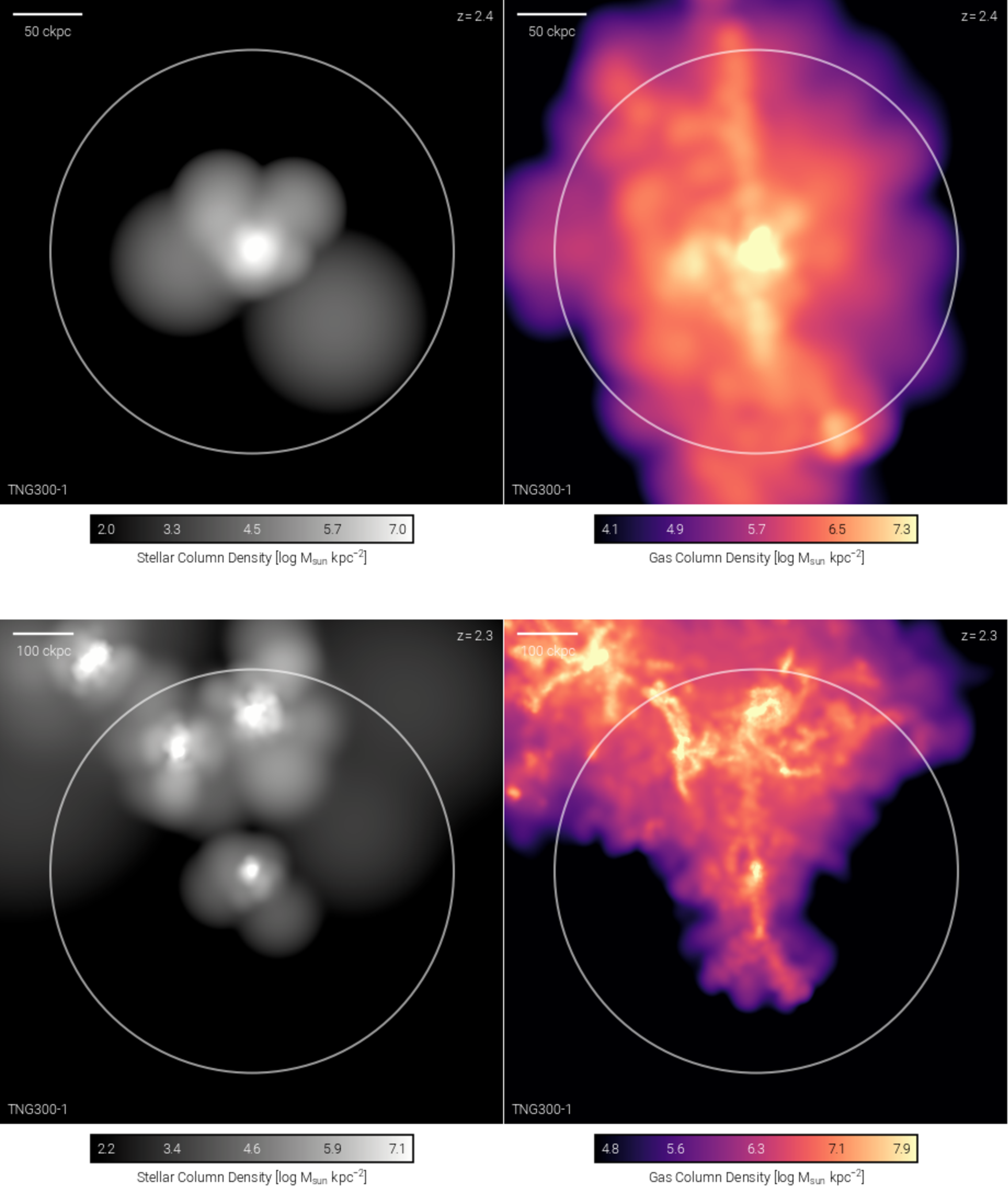Figure 4: Galaxy at z=2.44 (snapshot 29) just before the first infall (top) and z = 2.32 (snapshot 30) when the infall starts (bottom). Left column shows the stellar density, while the right column shows the gas column density. 