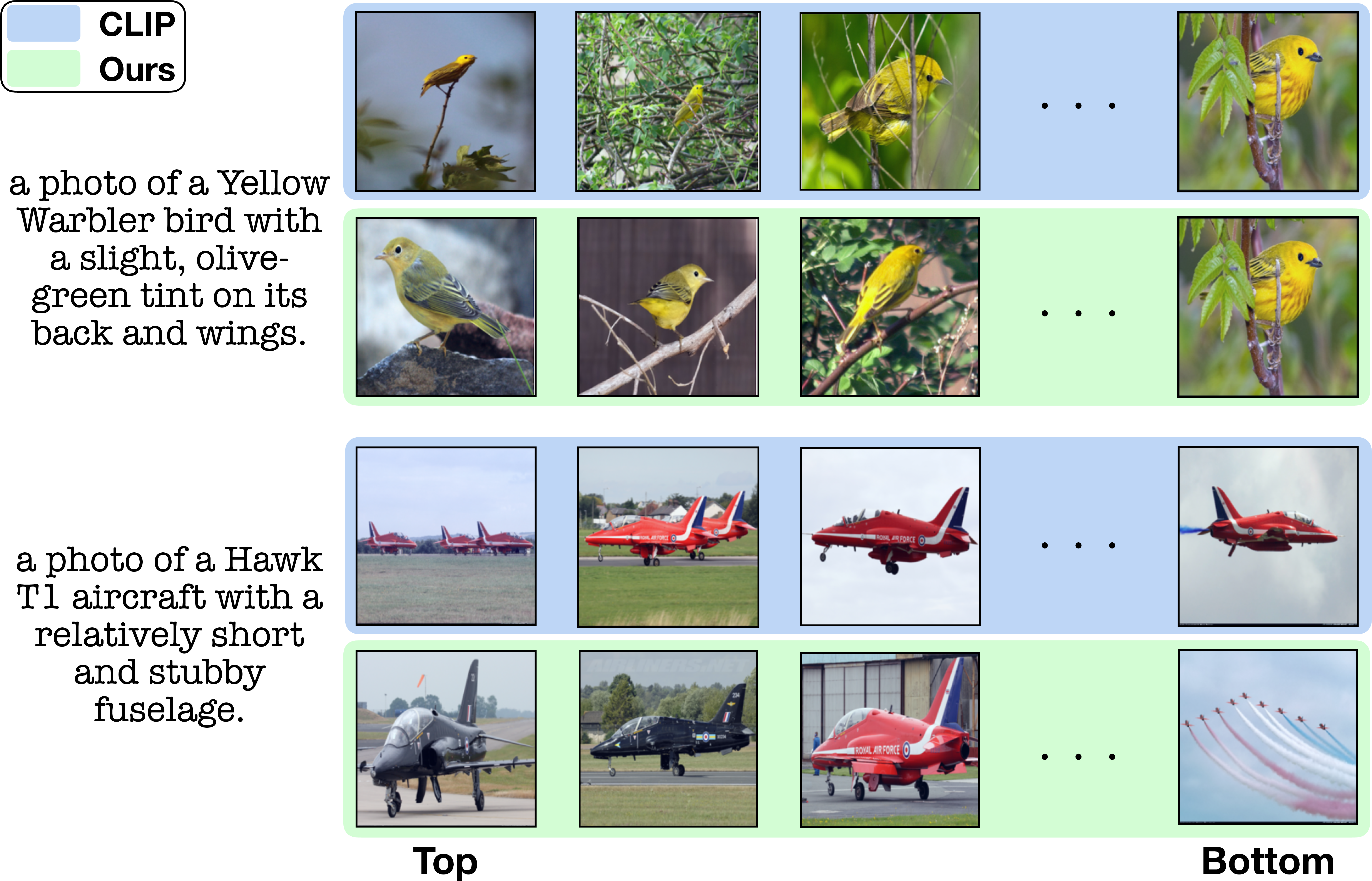 Figure 2: Visualizing image-text similarity. All images within a category are sorted in order of similarity to a given text predicted by CLIP and our fine-tuned CLIPFT+A. For example, our method identifies birds which show olive-green tint on their back as the top images, whereas CLIP selects birds with visibly brown upperparts or occluded back. The image with lowest similarity which has the occluded back remains the same for both models, showing our model does not learn incorrect attribute associations even though we stochastically pair every attribute with every image during training. On the aircraft example our model predicts higher similarity to images with prominently visible fuselage. CLIP identifies the least similar image as one in which fuselage is visible, but ours chooses one where aircrafts are too far to make out the shape of fuselage.