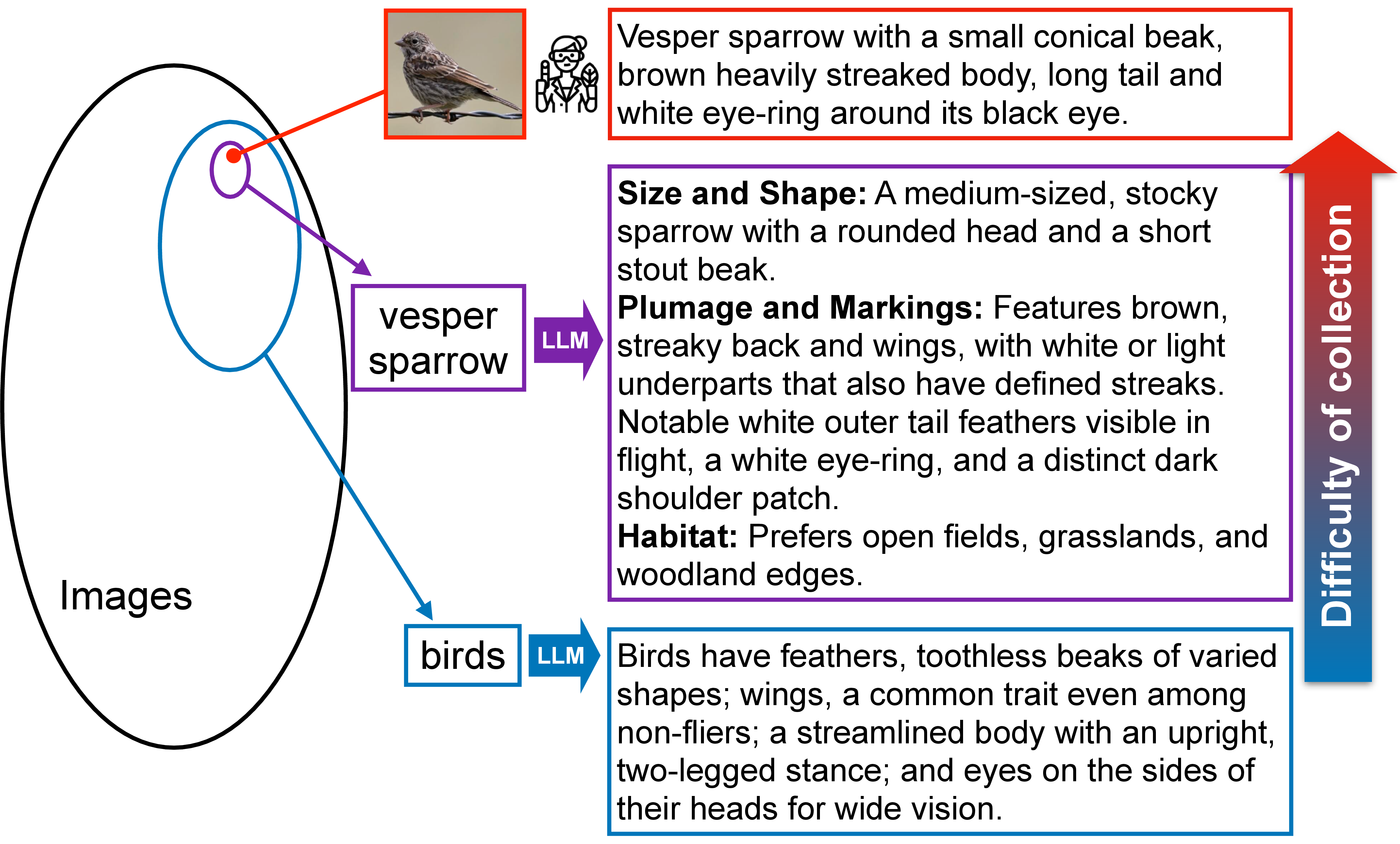 Figure 1: Motivation. Collecting image captions in fine-grained domains requires expertise (top row), but LLMs can generate structured (e.g., shape or appearance) and accurate descriptions of categories at both the coarse (e.g., birds) and fine-grained level (e.g., Vesper Sparrow). Rich descriptions of fine-grained categories can be paired with existing datasets, such as iNaturalist [2] and NABirds [8] to generate coarsely-aligned image-text datasets for fine-tuning VLMs. This improves their zero-shot performance on a range of benchmarks, generalizing to novel categories and tasks.